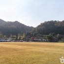 명봉산솔밭관광농원오토캠핑장 이미지