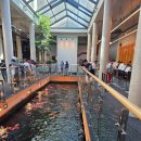 율하5로48 | 김해 장유율하 물고기카페 추천｜아이랑 가기 좋은 카페 앤더코이 후기