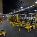 BD 주짓수 이미지