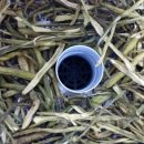 뜨락농장 이미지