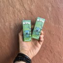 사이다소프트 | 상무지구 전담 신상 입호흡 액상 추구미 소프트드링크