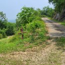 초성4리 마을회관 이미지