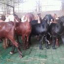 이천제이농장 이미지