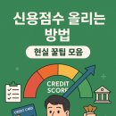 신용점수 올리는 방법, 현실 꿀팁