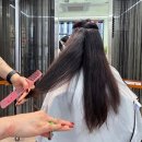 헤어베이직(야간) | 신림 히피펌 미용실 추천: 텀헤어 내돈내산 후기