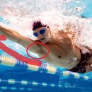 근육 연구소 이미지