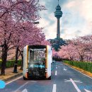 로컬 모터스 이미지