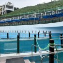 아산스파비스 이미지