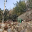 드림독 강아지 고양이 안심분양센터 시흥점 이미지