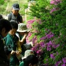 청평초등학교 이미지