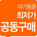 앙젤로이
