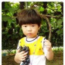 태호농장 이미지