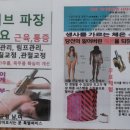 셀피아 이미지