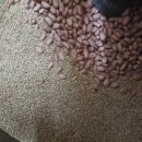 삼순이방앗간 이미지