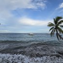 산호골프연습장 | 두마게티 다이빙 - 이동 경로, 숙소와 다이브샵(두바하(DUHABA) 다이브 리조트)