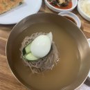 승원 동물병원 | [2025년 5월 일기] 세상이 날 억까해~!~!!