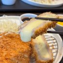 수작카츠 식사점 | 식사동 맛집 수작카츠식사점 돈까스 후기 l 아기의자 있음