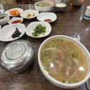 독천식당 | 🍲 목포 연포탕 맛집 독천식당 솔직 후기! 목포역 근처 낙지요리 추천(주차, 메뉴, 영업시간)