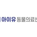 아이유동물메디컬센터 이미지