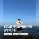 바닷길 풍경 | 겨울 제주도 가볼만한곳 김녕바닷길 물때 간조시간 소요시간