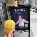 태민이 보러 3박4일 2026 코첼라 간 후기 Day 3@도가니 사리기 렏렏 그래미 디즈니 그린그린