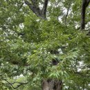 무등산한의원 이미지