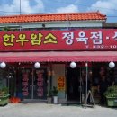 조은한우암소