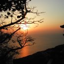 향일암 Daum카페