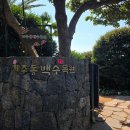 남원읍-45 | 제주 동백수목원 5000그루 45년 숲, 엄마와 걸어본 제주 동백꽃 명소 TOP1