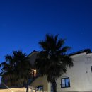 네모스테이 이미지