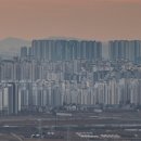 코주부