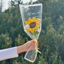 월가힐링 이미지