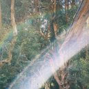 라이프 감정 코칭 | [모집] 코치로서 만나고 싶은 고객(1:1라이프코칭)