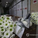 힐링pc방 이미지