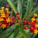 삼무공원 이미지