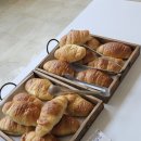 플로스 파트2(FLOS.PART2) 이미지