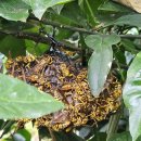 대범농장 이미지