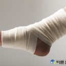 바른연합의원 이미지