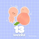 새소망약국 | 임신EP06] 13주~16주 성별 확인, 젠더리빌🎉 위액 과다 역류성 식도염(알마겔, 텀스 후기)