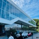 자유로 베이커리 | 파주 대형베이커리 카페 문지리535 후기 식물원 논밭뷰 맛집