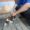 솔비농장 이미지