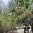 펜션벨뷰캠핑장 이미지