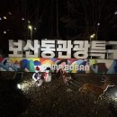 보산동 관광특구2 이미지