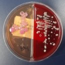 환경슈퍼 이미지