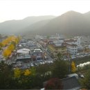 속리산 관광특구 노컷뉴스