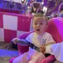 스테이자연도 이미지