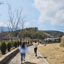 가시나무공원 | 경남 남해 바다정원 사진 찍기 좋은 가볼만한 공원 산책