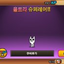 루가