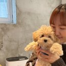 원두유 네이버블로그