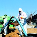 배양1리 이미지